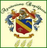 agribugilfezza.com