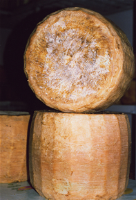 pecorino siciliano