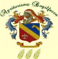 logo agribugilfezza