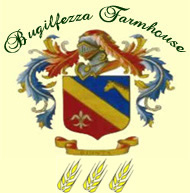 logo agribugilfezza