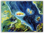 quadro