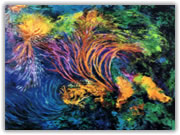 quadro