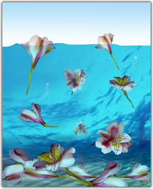 adreadifiore.com