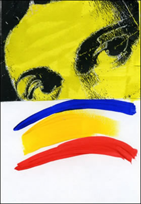 luciana anelli's label