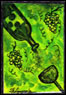 label